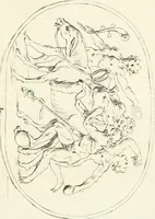 An illustration from Antiquities explained : being a collection of figured gems, illustrated by similar descriptions taken from the classics (1737)