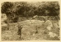 An illustration from The antiquities of Manabi, Ecuador; final report (1910)