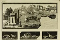 An illustration from The antiquities of Herculaneum (1773)