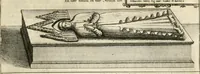 Picture 19 of 286 from The antiquities of Warwickshire illustrated : from records, leiger-books, manuscripts, charters, evidences, tombes, and armes : beautified with maps, prospects, and portraictures (1656), leaf 38