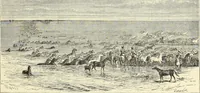 An illustration from Antiquités de la Russie méridionale (1891)