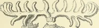 An illustration from Antiquités de la Russie méridionale (1891)