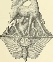 Picture 153 of 430 from Antiquités de la Russie méridionale (1891), leaf 206