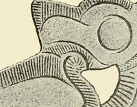 Picture 202 of 430 from Antiquités de la Russie méridionale (1891), leaf 266