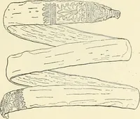Picture 250 of 430 from Antiquités de la Russie méridionale (1891), leaf 328