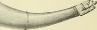 Picture 251 of 430 from Antiquités de la Russie méridionale (1891), leaf 329