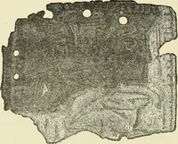 Picture 252 of 430 from Antiquités de la Russie méridionale (1891), leaf 329