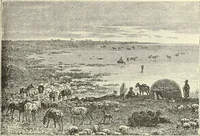 Picture 255 of 430 from Antiquités de la Russie méridionale (1891), leaf 334