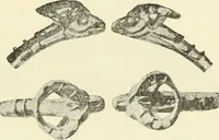 Picture 264 of 430 from Antiquités de la Russie méridionale (1891), leaf 350