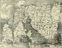 Picture 290 of 430 from Antiquités de la Russie méridionale (1891), leaf 387