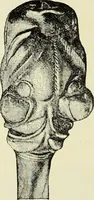 Picture 305 of 430 from Antiquités de la Russie méridionale (1891), leaf 395