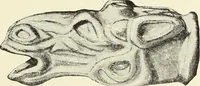 Picture 306 of 430 from Antiquités de la Russie méridionale (1891), leaf 396