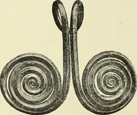 An illustration from Antiquités de la Russie méridionale (1891)