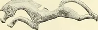 Picture 372 of 430 from Antiquités de la Russie méridionale (1891), leaf 474