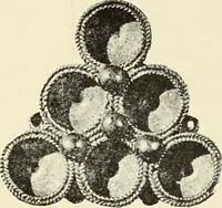 Picture 419 of 430 from Antiquités de la Russie méridionale (1891), leaf 518