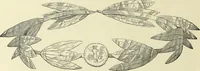 An illustration from Antiquités de la Russie méridionale (1891)