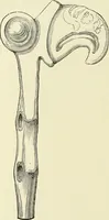 An illustration from Antiquités de la Russie méridionale (1891)
