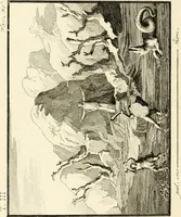 An illustration from Antiquités d'Herculanum (1804)