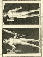An illustration from Antiquités d'Herculanum (1804)