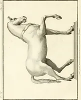 An illustration from Antiquités d'Herculanum (1804)