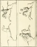 Picture 56 of 58 from Antiquités d'Herculanum (1804), leaf 217