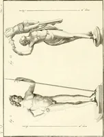 An illustration from Antiquités d'Herculanum (1804)
