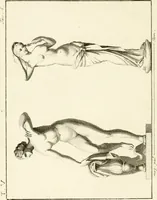 An illustration from Antiquités d'Herculanum (1804)