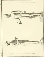 Picture 11 of 58 from Antiquités d'Herculanum (1804), leaf 41