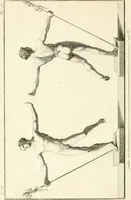 An illustration from Antiquités d'Herculanum (1804)
