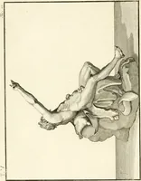 An illustration from Antiquités d'Herculanum (1804)