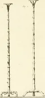 An illustration from Antiquités d'Herculanum (1804)