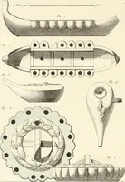 An illustration from Antiquités d'Herculanum (1804)