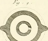 An illustration from Antiquités d'Herculanum (1804)