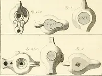 An illustration from Antiquités d'Herculanum (1804)