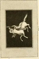 An illustration from Les antiquités d'Herculanum : avec leurs explications en françois (1780)