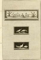 An illustration from Les antiquités d'Herculanum : avec leurs explications en françois (1780)