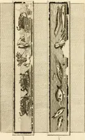 An illustration from Les antiquités d'Herculanum : avec leurs explications en françois (1780)