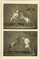 An illustration from Les antiquités d'Herculanum : avec leurs explications en françois (1780)