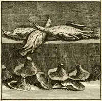 An illustration from Les antiquités d'Herculanum : avec leurs explications en françois (1780)
