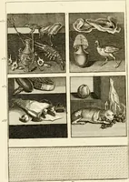 An illustration from Les antiquités d'Herculanum : avec leurs explications en françois (1780)