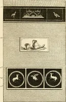 Picture 12 of 81 from Les antiquités d'Herculanum : avec leurs explications en françois (1780), leaf 60