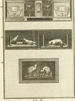 Picture 28 of 84 from Les antiquités d'Herculanum : avec leurs explications en françois (1780), leaf 114