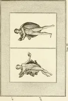 Picture 36 of 84 from Les antiquités d'Herculanum : avec leurs explications en françois (1780), leaf 142
