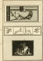 Picture 49 of 84 from Les antiquités d'Herculanum : avec leurs explications en françois (1780), leaf 192
