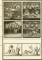 Picture 76 of 84 from Les antiquités d'Herculanum : avec leurs explications en françois (1780), leaf 326