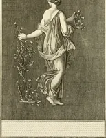 An illustration from Les antiquités d'Herculanum : avec leurs explications en françois (1780)