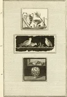 An illustration from Les antiquités d'Herculanum : avec leurs explications en françois (1780)