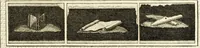 Picture 19 of 84 from Les antiquités d'Herculanum : avec leurs explications en françois (1780), leaf 72