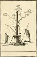 Picture 24 of 84 from Les antiquités d'Herculanum : avec leurs explications en françois (1780), leaf 100