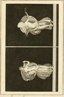 Picture 26 of 84 from Les antiquités d'Herculanum : avec leurs explications en françois (1780), leaf 108